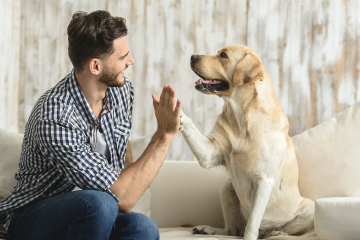 Mejor amigo, un perro, (El)