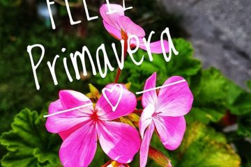 Mes de flores, mes de amores.