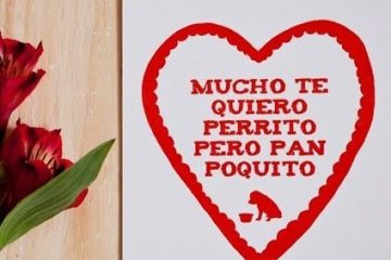 Mucho te quiero, perrito; pero pan, poquito.