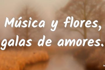 Música y flores, galas de amores.