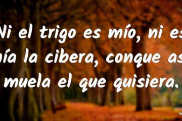 Ni mío es el trigo, ni mía es la cibera, y muela quien quiera.