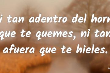 Ni tan adentro del horno que te quemes, ni tan afuera que te hieles.