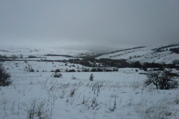 Nieve en marzo vale un dinerazo.