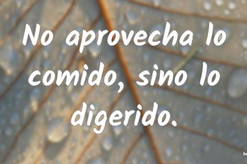 No aprovecha lo comido, sino lo digerido.