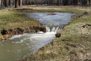 No crece el río con agua limpia.