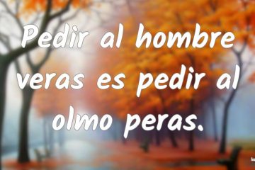 Pedir al hombre veras es pedir al olmo peras.