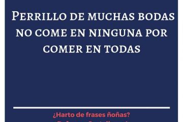 Perro de muchas bodas, no come en ninguna por comer en todas.