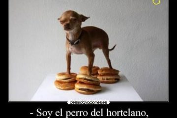 Perro del hortelano, ni come las berzas ni las deja comer al extraño, (El)