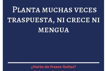 Planta muchas veces traspuesta, ni crece ni medra.