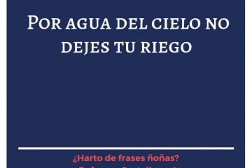 Por agua del cielo, no dejes tu riego.