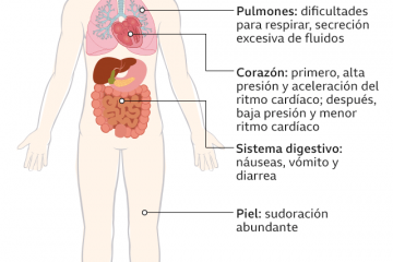 Por males de nervios nunca se tocó a muerto.