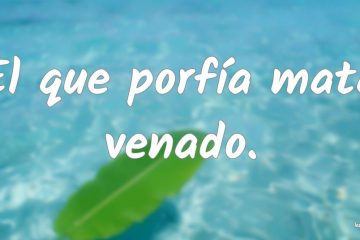 Porfía mata venado, que no venablo.