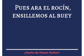 Pues ara el rocín, ensillemos al buey.