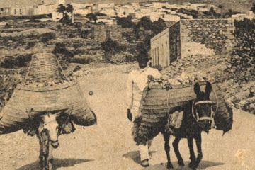 Que tiene un burro y lo vende, él se entiende, (El)