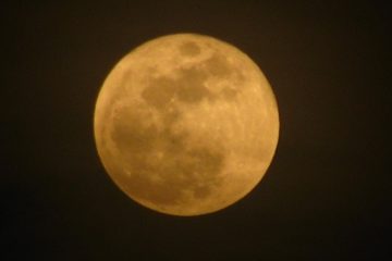 Quien a la luna se acoge, no llena el troje.