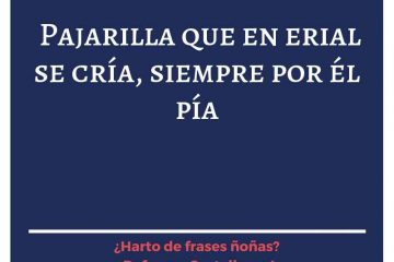 Quien dineros no cría, siempre pía.