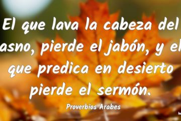Quien predica en desierto, pierde el sermón, y quien lava la cabeza al asno, pierde el jabón.