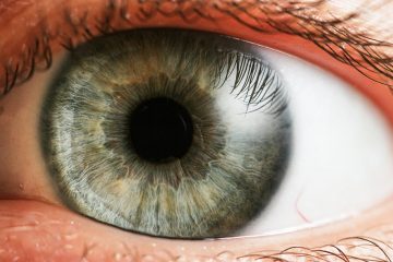 Quien quiera el ojo sano, átese la mano.