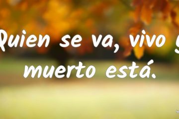 Quien se va, vivo y muerto está.