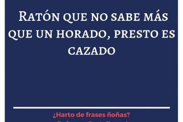 Ratón que no sabe más que un horado, presto es cazado.