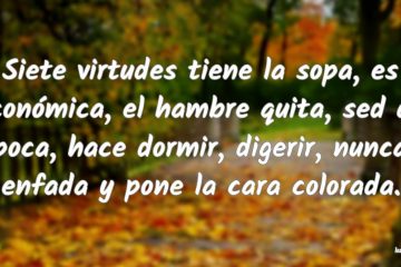 Siete virtudes tiene la sopa: es económica, el hambre quita, sed da poca, hace dormir, digerir, nunca engaña y pone la cara colorada.