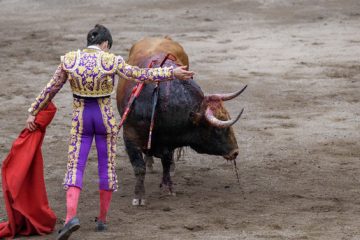 Toros y fiestas, malo para las bestias.