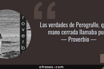 Verdades de Perogrullo, que a la mano cerrada le llamaba puño, (Las)