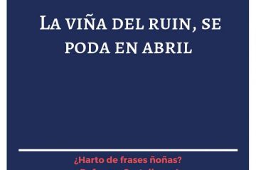 Viña del ruin se poda en abril, (La)