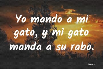 Yo mando a mi gato y mi gato manda a su rabo.