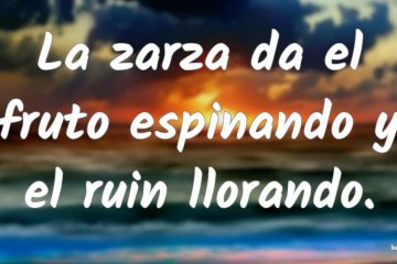 Zarza da el fruto espinado, y el ruin llorando, (La)
