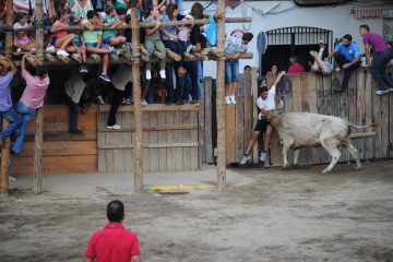 Estar entre la espada y la pared