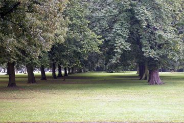 Ser un tiquismiquis (tiquis miquis)