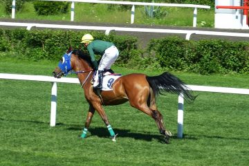 Tener más dientes que una carrera de caballos