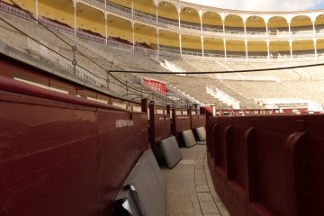 Ver los toros desde la barrera