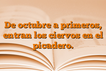 De octubre a primeros, entran los ciervos en el picadero.